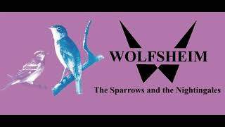 Wolfsheim  The Sparrows And The Nightingales Orig Full Clean Instrumental HD Sound 2024 [upl. by Gomar]