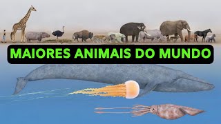 Os Maiores Animais do Mundo [upl. by Kcirderfla]