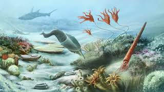 History of the Earth Part 2 Phanerozoic Eon – Paleozoic Era [upl. by Ruff]