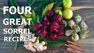 What is Sorrel  Four Delicious Sorrel Recipes [upl. by Essilevi]