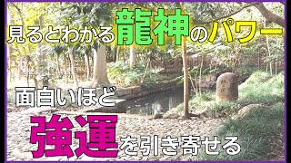 【武蔵一宮 氷川神社】蛇の池のパワーをあなたに！幸運をお届けします！パワースポット遠隔参拝 [upl. by Eoz]