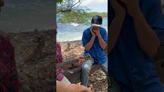 Island Style Harmonica For Beginners [upl. by Linders]