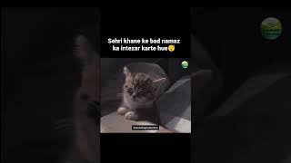 Sehri Khane Ke Baad sehri namaz cat cute sleep salah fun funny reaction shorts trending [upl. by Alemac310]