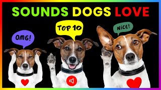 Top 10 Sounds Dogs Love GUARANTEED [upl. by Pero888]