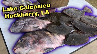 Flounder amp Sheepshead Catch Clean Cook Fishing Lake Calcasieu in Hackberry Louisiana [upl. by Harhay581]