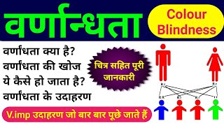 वर्णांधता  colour blindness class 12  varnandhta  sex linked inheritance  ling sahlagn rog 12th [upl. by Adnwahsor]