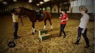 Loesdau Lessons Basics mit Kati Die Reitbahnregeln [upl. by Munmro32]