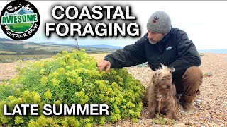 Coastal Foraging For Beginners  LATE SUMMER  TAOutdoors [upl. by Munniks939]