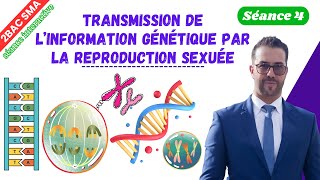 4 Transmission de l’information génétique par la reproduction sexuée séance interactive [upl. by Mllly]