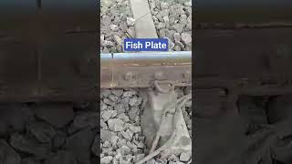 Fish plate Bolt shorts viral [upl. by Gavrilla]