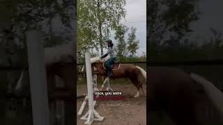 result of the week horse equestrian musical [upl. by Navetse]