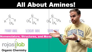 Amines in Organic Chemistry Assess Basicity and Master Nomenclature [upl. by Inoy]