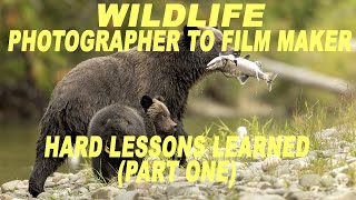 From Wildlife Photographer to Wildilfe Filmmaker Hard Lessons Learned Part 1 wildlifefilmmaking [upl. by Marlene]