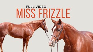 Miss Frizzle  FULL VIDEO  Lesson Horse  Schoolmaster [upl. by Searby]