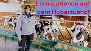 Hof erkunden kinderleicht  Stationenlernen auf einem Milchkuhbetrieb mit Laura [upl. by Loggia]