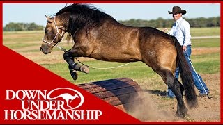 Clinton Anderson Obstacle Course Training at the Ranch Rally  Downunder Horsemanship [upl. by Neersin]