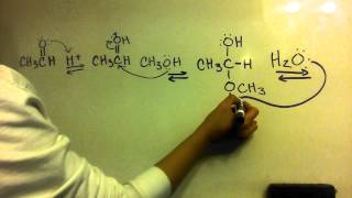 Acetal Formation from an Aldehyde  Mechanism [upl. by Proulx643]