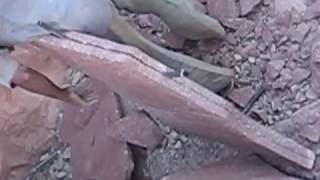 Red Stone Splitting process at Natural Stone Quarry India Rajasthan  Dharti Craft Quarry People [upl. by Sirod]