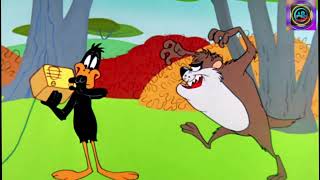 Tasmanian devil looney tunes  Classic Cartoon  Daffy Duck in Ducking  Funny video [upl. by Nylaf]