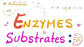 what are Allosteric enzymesDefinition amp Important features of Allosteric enzymesModulators amp types [upl. by Bast366]