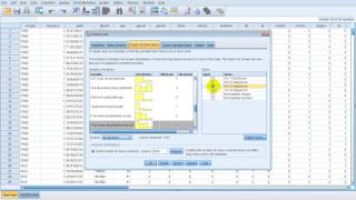 Data Validation  SPSS 21 [upl. by Woermer]