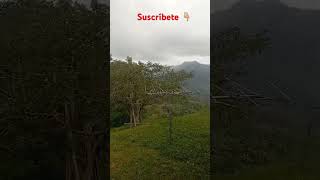 Hermosa lluvia en el campo Turrialba Costa Rica 🇨🇷 [upl. by Airel15]