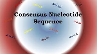 Consensus sequence  consensus nucleotide sequence in Ecoli explained [upl. by Stent]