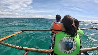 Whale Sharks Sea Turtles and Sardines in Cebu Oslob amp Moalboal 4Person Family Travel Vlog [upl. by Elimac]