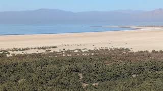 How far the shore of the Salton Sea has moved in nearly 20 years [upl. by Terag]