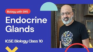 Endocrine Glands  ICSE Class 10 Biology  Explained in English and Hindi  T S Sudhir  SWS [upl. by Squier]