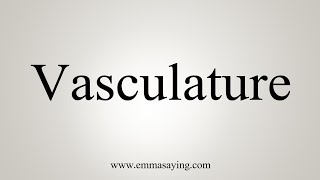 How To Say Vasculature [upl. by Yessej]