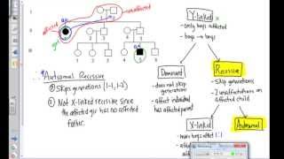 Pedigree Analysis Examples [upl. by Rowe]