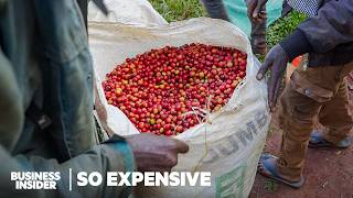 Why SingleOrigin Coffee Is So Expensive  So Expensive Food  Insider Business [upl. by Salohcim]