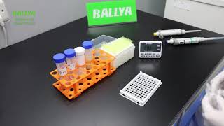 Aflatoxin B1 Rapid Test Kit  Detection of Aflatoxin B1 in Peanut  BALLYA [upl. by Lebisor]