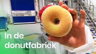 Hoe worden donuts gemaakt  Doen Ze Dat Zo  Het Klokhuis [upl. by Ykvir757]