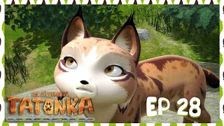 Tatonka en Français 🐺 Ina a disparu 😲 Dessin animé pour enfants [upl. by Olgnaed]