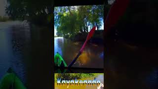 Arboleda pescaenkayak fishing pesca aventuraenkayak kayakfishing argentina kayaking birds [upl. by Maxwell]