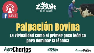 🐮Palpación Bovina  La virtualidad como el primer paso teórico para dominar la técnica [upl. by Tepper]