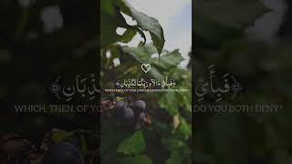 fabi ayyi ala i rabbikuma tukazziban in arabic with english translation foryou shortvideo shorts [upl. by Creedon]