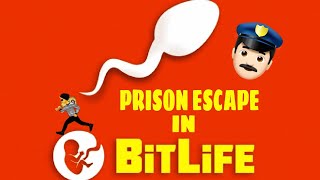 HOW TO ESCAPE EVERY PRISON IN BITLIFEEASIEST WAYS POSSIBLE [upl. by Ingunna]