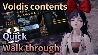 Lost Ark All Voldis contents quick walk through [upl. by Nataline]