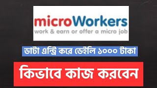 Micro Workers কিভাবে কাজ করবেন  How to complete data entry Jobs is Micro workers [upl. by Annawahs77]