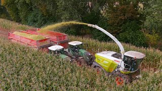 Mais 2021  FENDT 1050 on top of the Hill  Heinrich Schaper  2 x Claas Jaguar  Corn Harvest 2021 [upl. by Marietta]