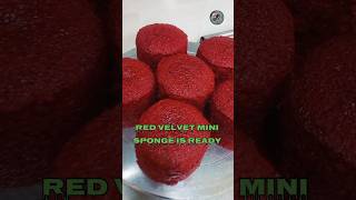 Red velvet mini sponge recipe redvelevet mini sponge recipe cake sorts [upl. by Verneuil]