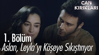 Aslan Leylayı köşeye sıkıştırıyor  Can Kırıkları 1 Bölüm [upl. by Ahsie928]