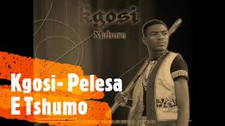 Kgosi  Pelesa E Tshumo Audio [upl. by Kunz]