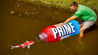 MEGA PRIME Bottle Catches Colorful Fish [upl. by Lello]