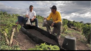 Las Aventuras del Profesor Yarumo MIA Protección del Suelo Urrao Antioquia [upl. by Ehtylb]