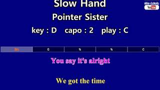 Slow Hand  Pointer Sister Karaoke amp Easy Guitar Chords Key  D Capo  2 [upl. by Ettenahs262]