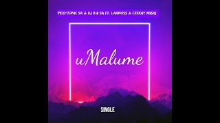 uMalume Full Song ✌🏼🔥 [upl. by Goggin577]